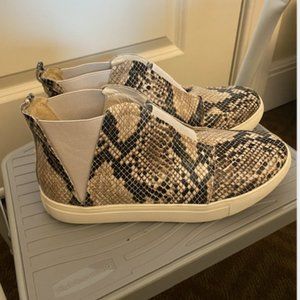 Snakeskin Matisse Footwear Sneakers